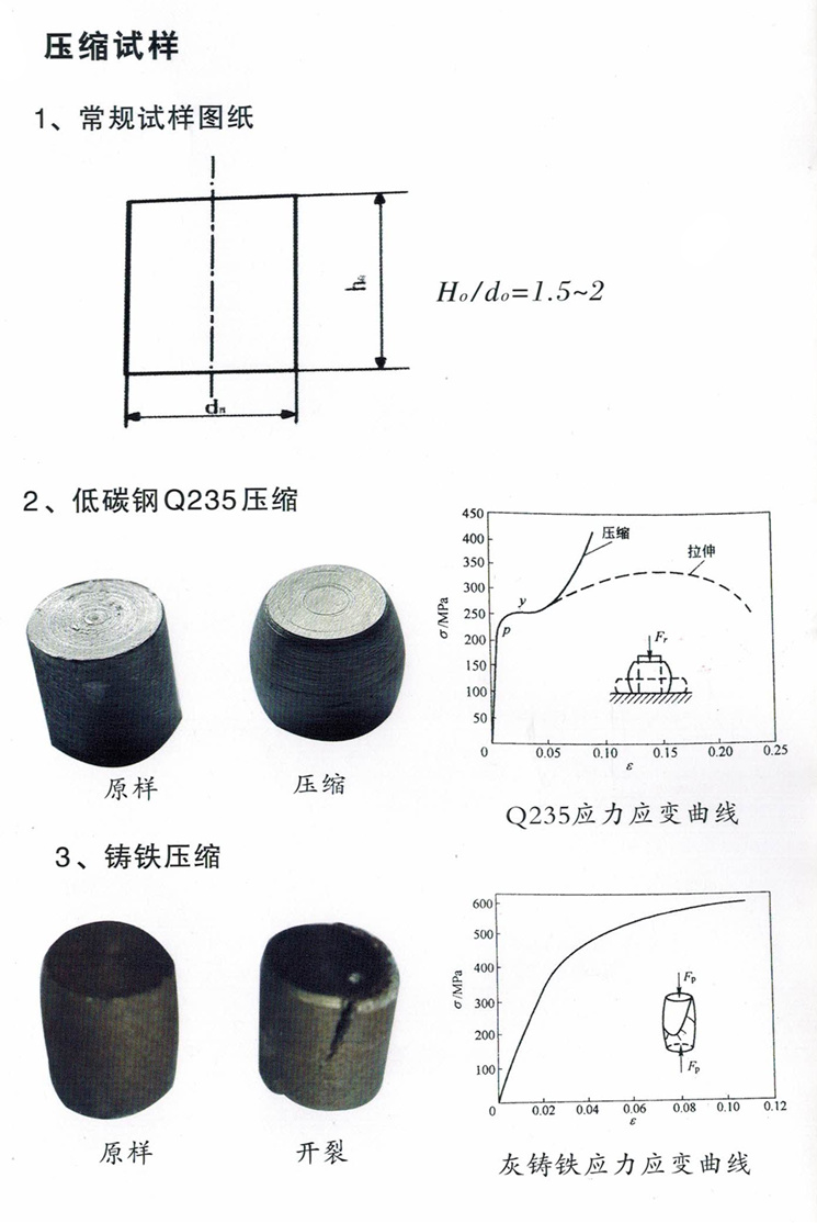 壓縮試樣_副本.jpg