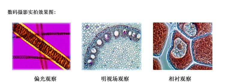 L3000 廣州粵顯光學儀器有限責任公司_3.jpg